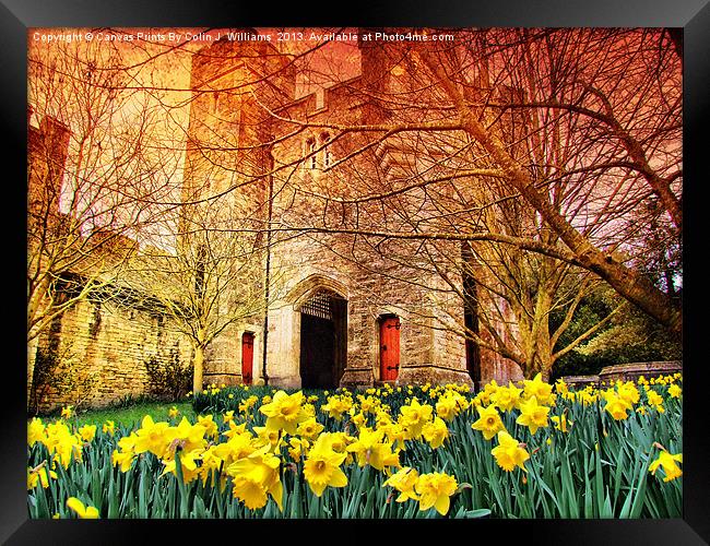 The Gateway - Arundel Castle Framed Print by Colin Williams Photography