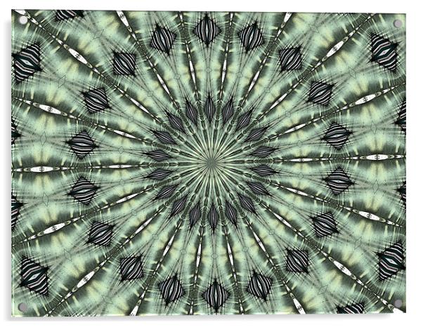 kaleidoscope complexity Acrylic by Heather Newton