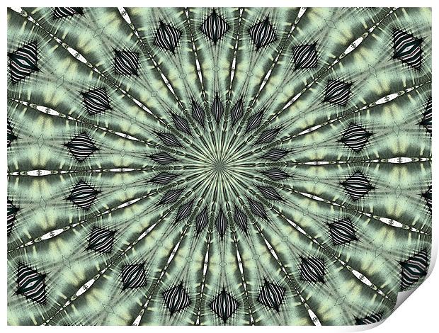 kaleidoscope complexity Print by Heather Newton