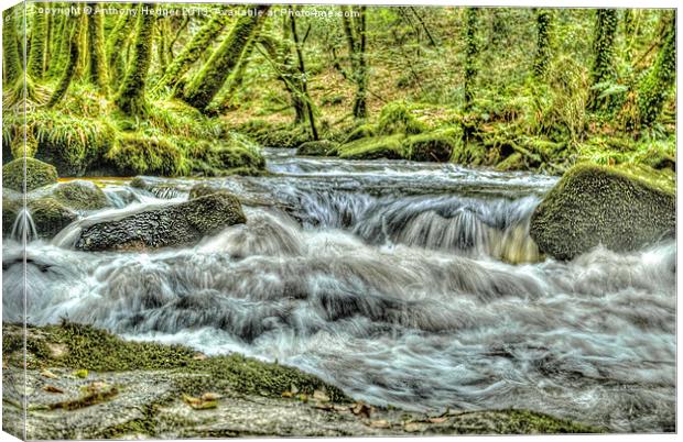 Golitha Falls HDR Canvas Print by Anthony Hedger