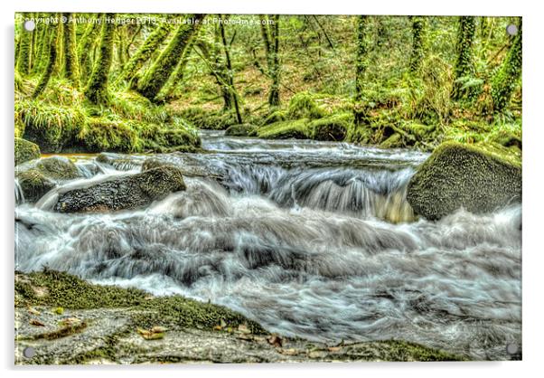 Golitha Falls HDR Acrylic by Anthony Hedger