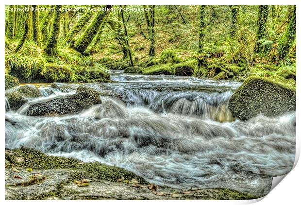 Golitha Falls HDR Print by Anthony Hedger