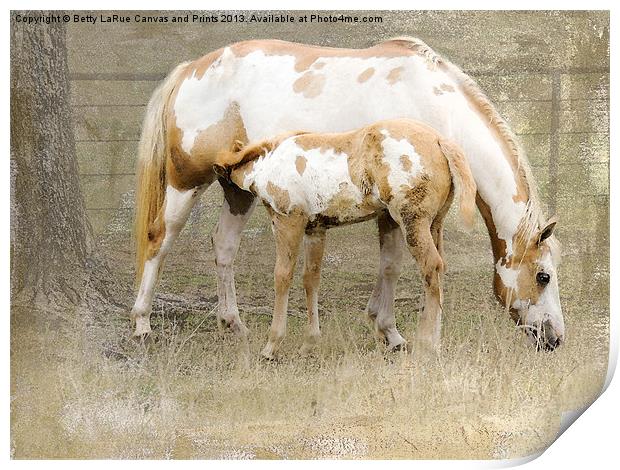 Pinto Mare and Filly Print by Betty LaRue