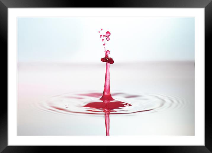 Fluid droplet collision Framed Mounted Print by Terry Pearce