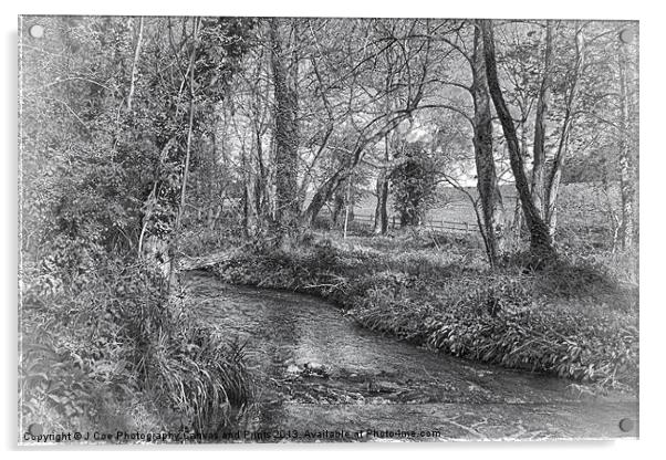 Down By The River BW Acrylic by Julie Coe