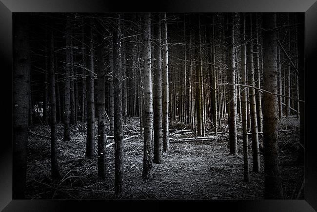 Dark Wood Framed Print by Debra Kelday