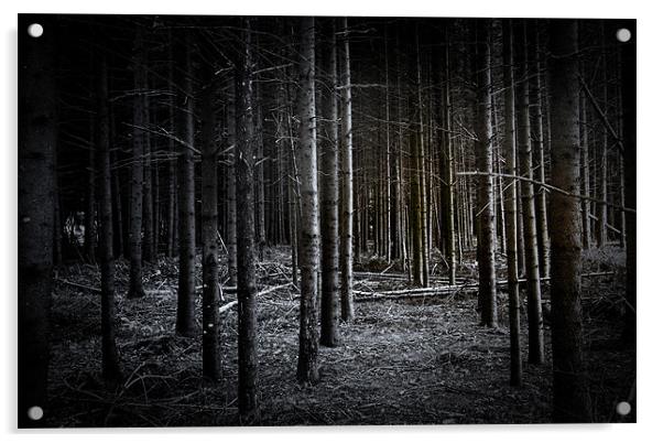 Dark Wood Acrylic by Debra Kelday