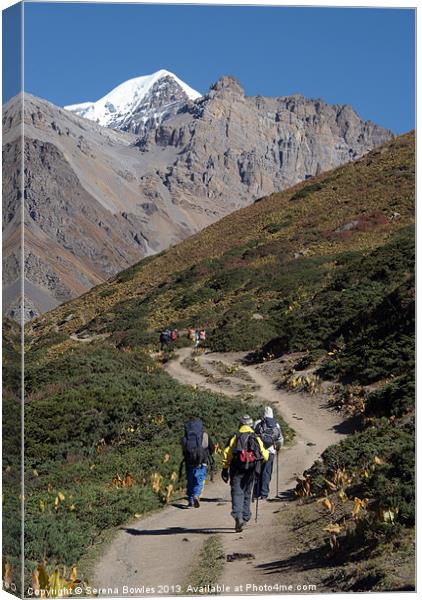 Trekkers on the Annapurna Circuit Canvas Print by Serena Bowles
