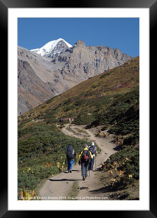 Trekkers on the Annapurna Circuit Framed Mounted Print by Serena Bowles