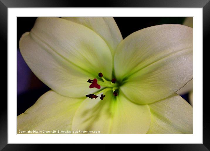 White Lily Framed Mounted Print by kelly Draper
