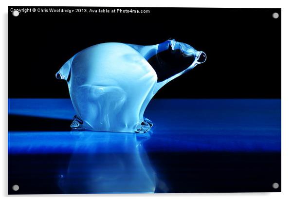 Norwegian Glass Polar Bear Acrylic by Chris Wooldridge