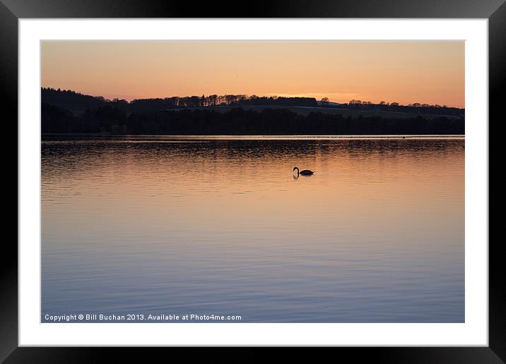 Loch of Skene Twilight Swans Photo Framed Mounted Print by Bill Buchan
