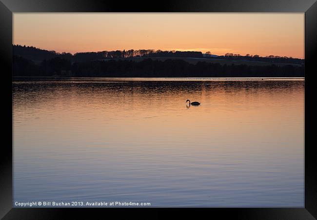 Loch of Skene Twilight Swans Photo Framed Print by Bill Buchan
