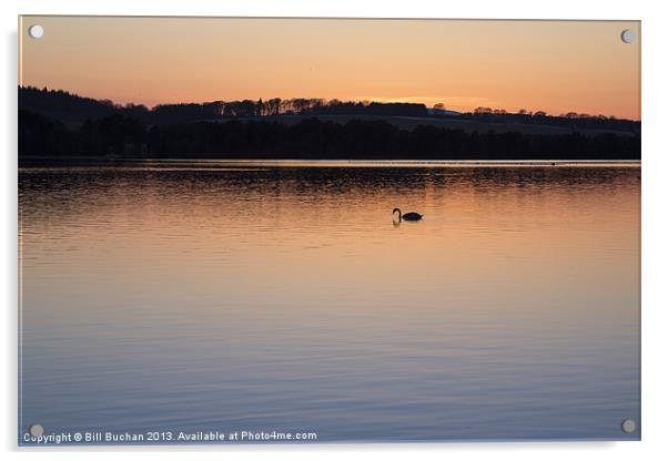 Loch of Skene Twilight Swans Photo Acrylic by Bill Buchan