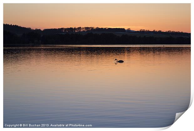 Loch of Skene Twilight Swans Photo Print by Bill Buchan