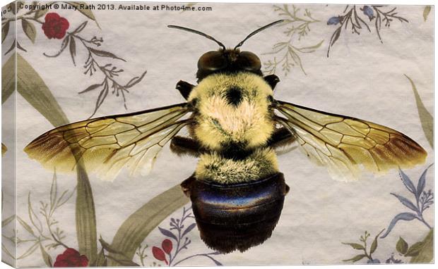 Bee Canvas Print by Mary Rath