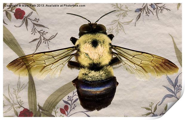 Bee Print by Mary Rath