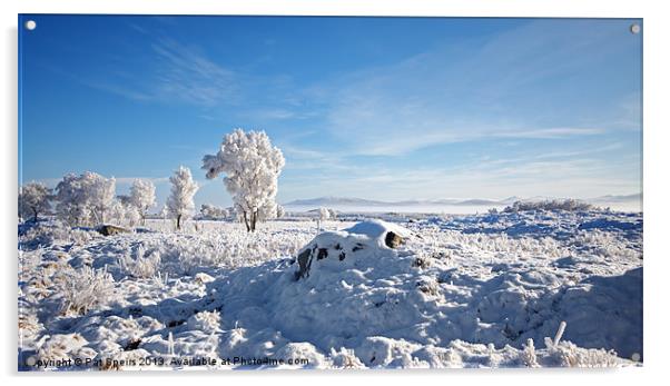 Winter Magic (2) - Rannoch, Scotland Acrylic by Pat Speirs
