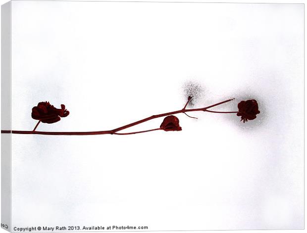 Red Over White Canvas Print by Mary Rath