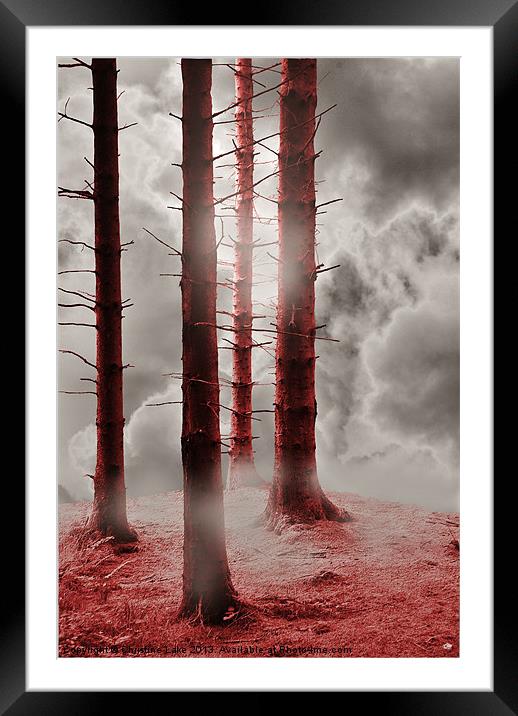 Forest Trees in Red Framed Mounted Print by Christine Lake
