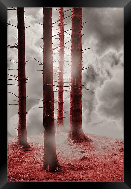 Forest Trees in Red Framed Print by Christine Lake