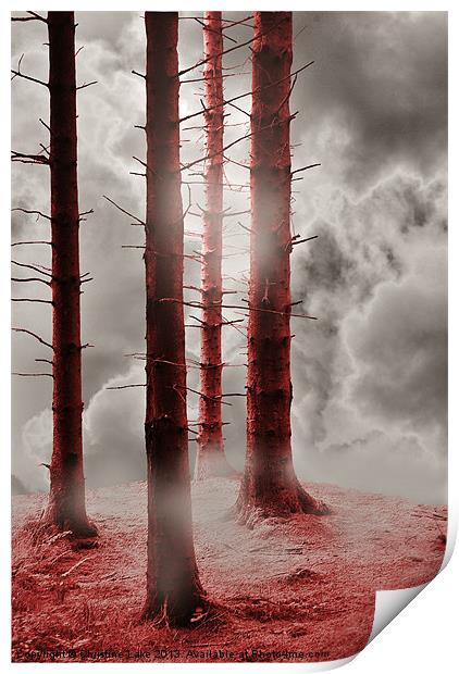 Forest Trees in Red Print by Christine Lake