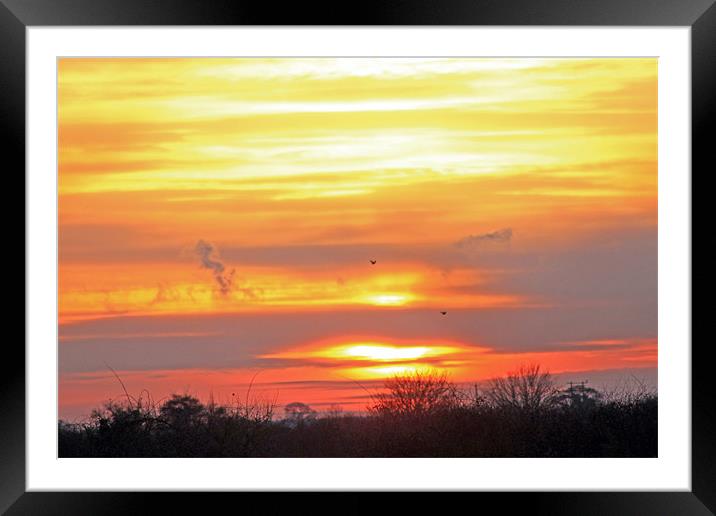 Birds against setting sun Framed Mounted Print by Tony Murtagh