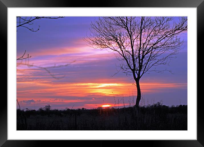 Sunset Framed Mounted Print by Tony Murtagh