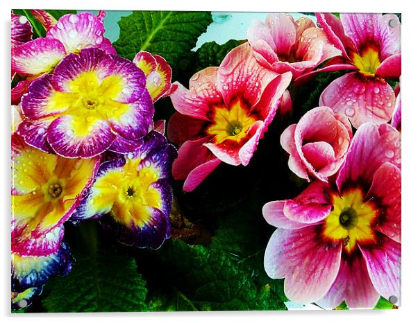 1177-spring flowers Acrylic by elvira ladocki