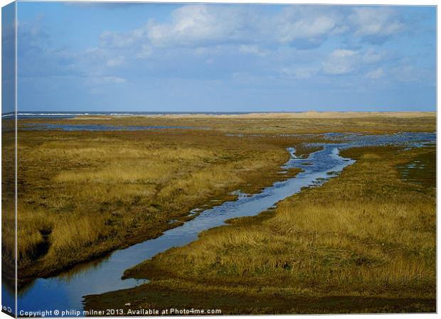 Saltfleet Marshes Humber Estuary Canvas Print by philip milner