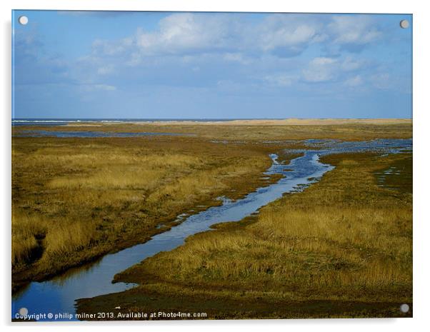 Saltfleet Marshes Humber Estuary Acrylic by philip milner