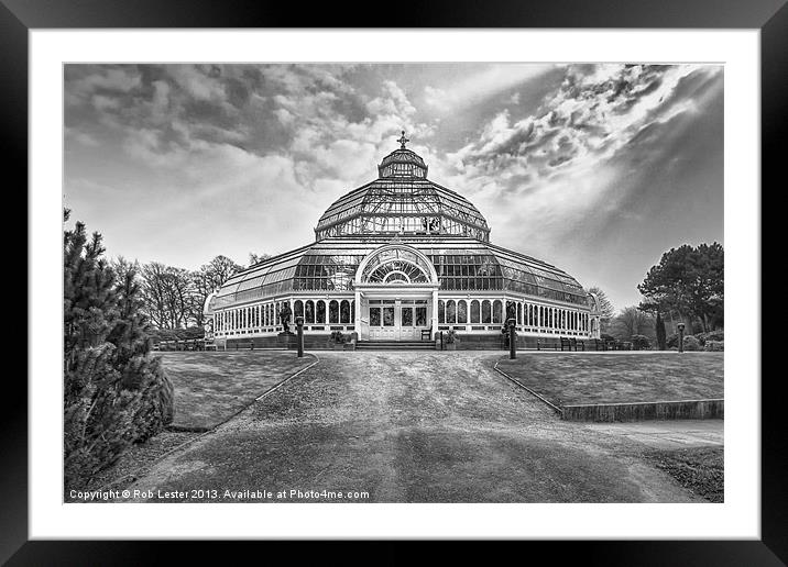 Palm house, Sefton Park Framed Mounted Print by Rob Lester
