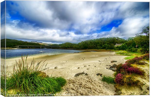 Serene Silver Sands Canvas Print by Chris Thaxter