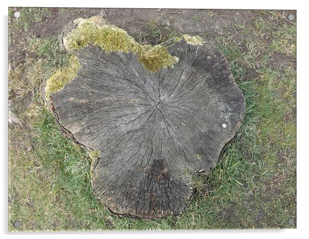 Tree Stump Acrylic by Sean Mcdonagh