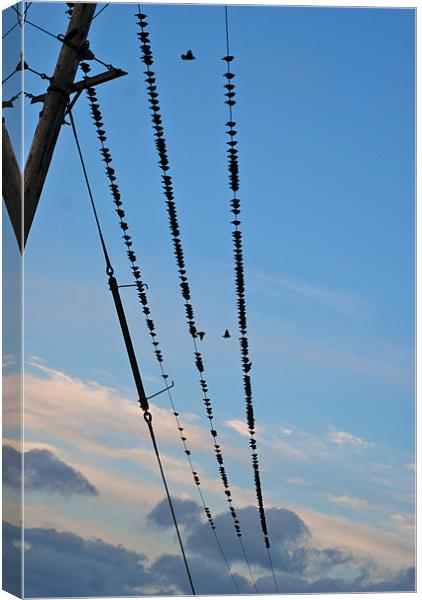 Birds on a wire Canvas Print by Lynne Easton