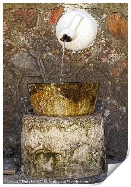 La Fuente Print by Digby Merry