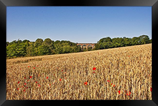 Wheat field with a view Framed Print by Dawn Cox