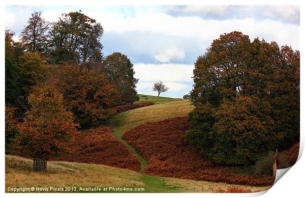 In The Park Print by Dave Burden