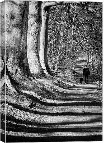 Walk in the Shadows Canvas Print by Keith Thorburn EFIAP/b