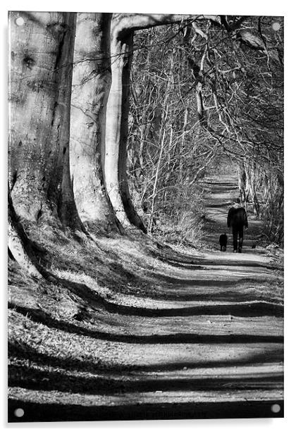 Walk in the Shadows Acrylic by Keith Thorburn EFIAP/b
