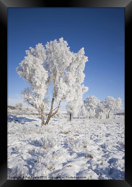 Winter Magic (3) - Rannoch Moor Framed Print by Pat Speirs