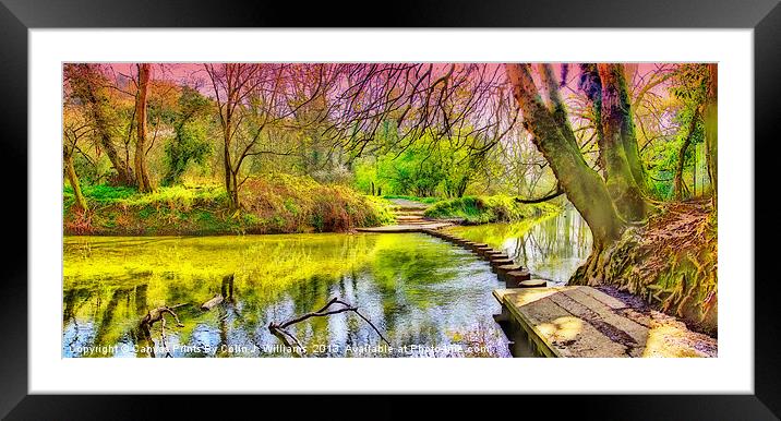 The Stepping Stones - Box Hill Framed Mounted Print by Colin Williams Photography