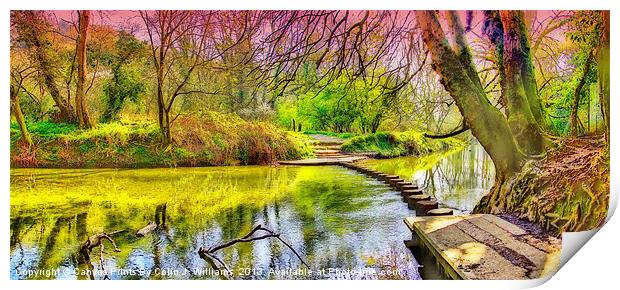 The Stepping Stones - Box Hill Print by Colin Williams Photography