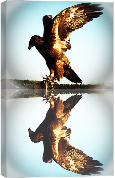 Reflections of a Golden Eagle Canvas Print by Rupert Gladstone