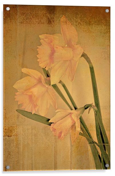 Daffodil 2 Acrylic by Nadeesha Jayamanne