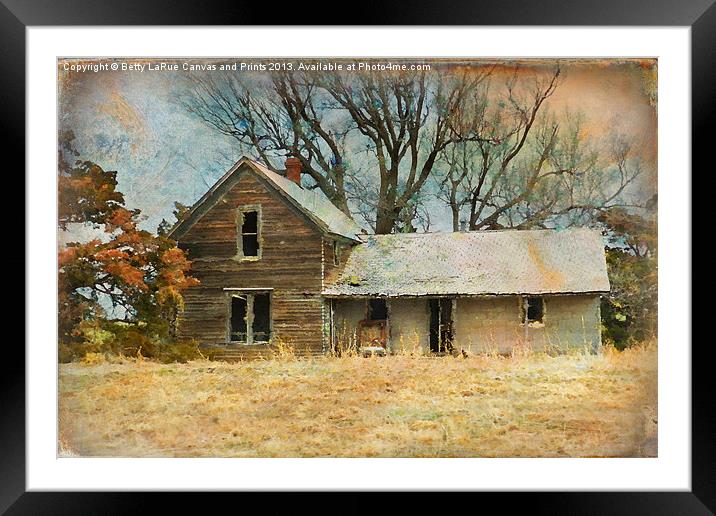 Empty Nest Syndrome Framed Mounted Print by Betty LaRue