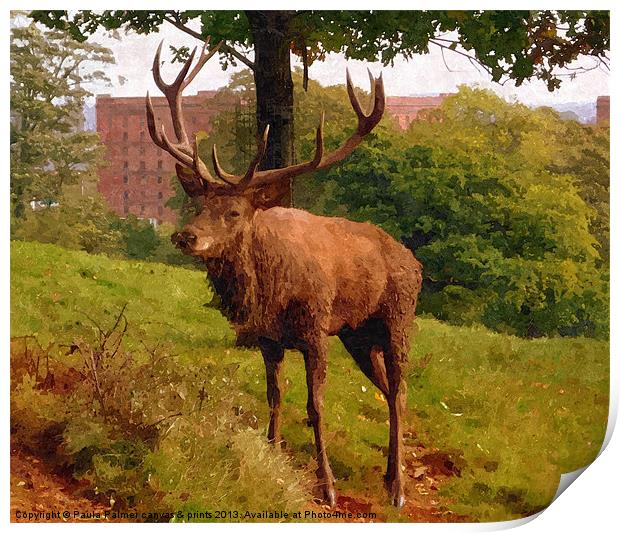 Red deer stag 2 Print by Paula Palmer canvas