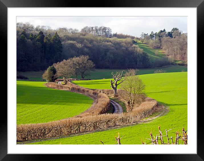 Winding Country Lane Framed Mounted Print by Tony Murtagh