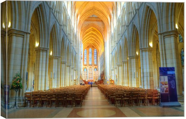 Truro cathedral Canvas Print by Tony Brooks