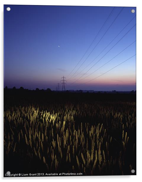 Torchlight at Twilight, Bradenham, Norfolk Acrylic by Liam Grant